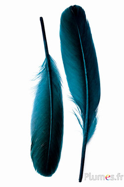 Anatra - 18-20 cm, sinistra e destra - petrolio-nero